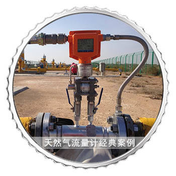 Natural Gas Flow Meter