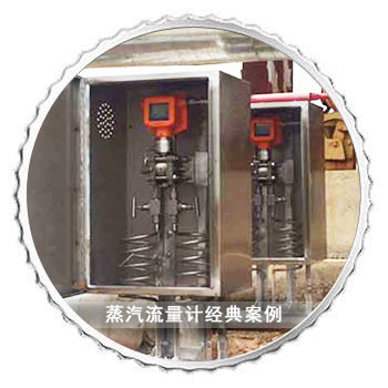 Steam Flow Meter