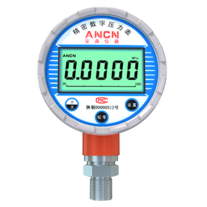 ACD-200数字压力表