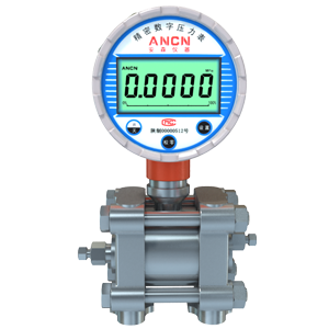 数字压力表（电容式差压型）ACD-3150
