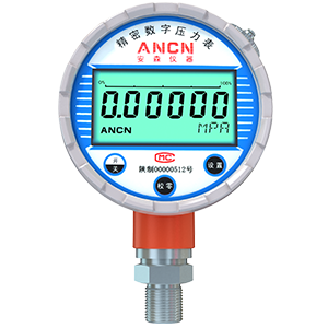 标准数字表压力表ACD-2H
